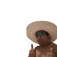 plfvieira