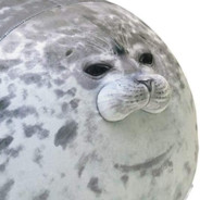 Seal