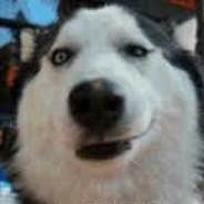 玩游戏要笑着玩嗷！