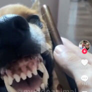 Cleitinho Fubá - steam id 76561197961564425