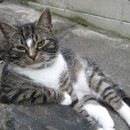 "Старшенький"