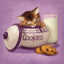 Cookie Kitten