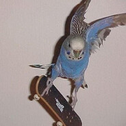 Where's your head at ?