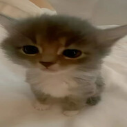 🆅.🆄.🆂.🆈.🅰