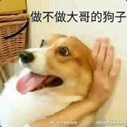 琛哥