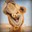 Der Gerd