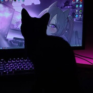 kotenok avatar