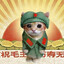 MeowZedong
