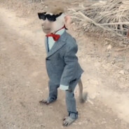 ЧЕКАЛДЫРИКPRO2015