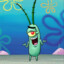 plankton