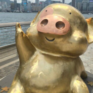 暴躁的小猪麦兜