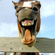 =>CrAzY Miss BuLLeT<=