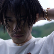 藏匿于高山之巅的猫崽