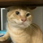 魈沈姬（X—X）