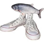 shaboingus dingusmagus