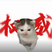 广东最强突破手小猫