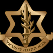 Israel Defence Forces