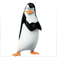 马达加斯加.军师