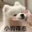 垮起个小猫批脸