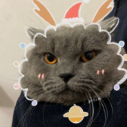 翻斗花园男明星