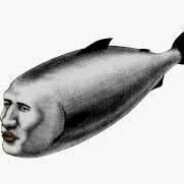 the alpha fish