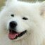 Noble