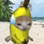 香蕉猫不吃香蕉