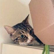 老公在外面背着我当0