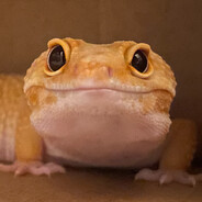 臣妾要告发熹贵妃私通！