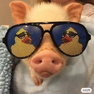 性感Hj在线打狗头