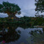 Florida