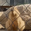 CAPYBARA