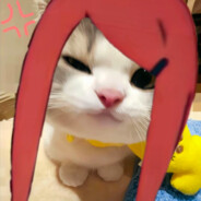 爱江山更爱美人