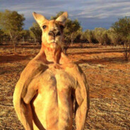 karlo - steam id 76561198208593863