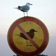 钩子莫人要俺可拾走叻