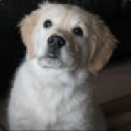 Davekuh avatar