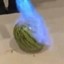 Flammed watermelon