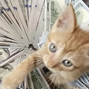 echoz - steam id 76561199773317650