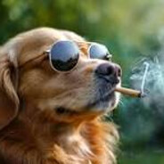 notoriousx10 - steam id 76561199800262110