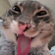 milana.dementeva.rikii