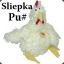 Sliepka Pu#