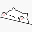 Littles.BONGOcat