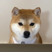 香香凑凑的袜子