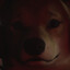 Nick
