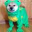 doggo de la froggo