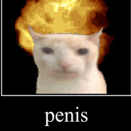 Penis Cat