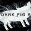 DarkPig†