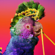 Flume - steam id 76561197960556258