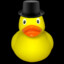 Ducky.