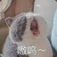 羊大大！